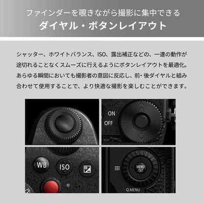 パナソニック Panasonic ミラーレス一眼カメラ LUMIX DC-G99M2H