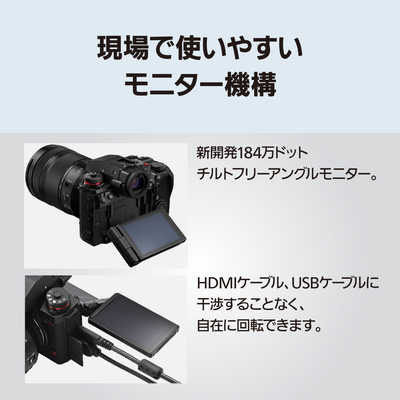パナソニック Panasonic ミラーレス一眼カメラ［ボディ単体
