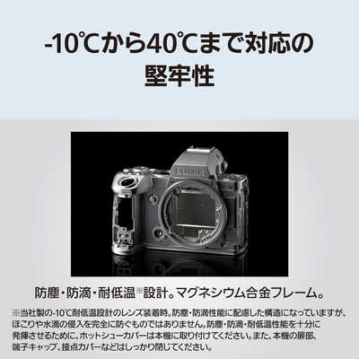 パナソニック Panasonic ミラーレス一眼カメラ［ボディ単体