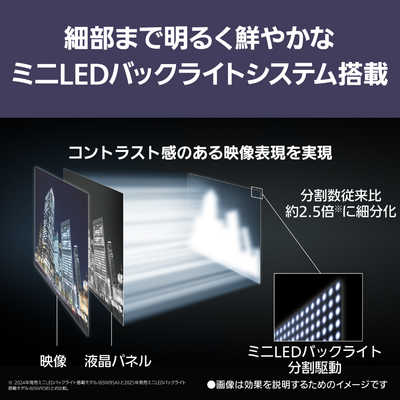 パナソニック Panasonic Mini LED液晶テレビ VIERA ビエラ W95B 65V型