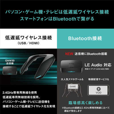 パナソニック Panasonic ネックスピーカー ブラック SC-GNW30 の