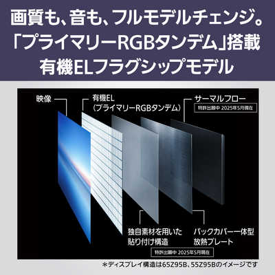 パナソニック Panasonic 有機ELテレビ VIERA ビエラ Z95B 55V型 4K対応