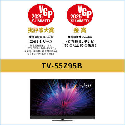 パナソニック Panasonic 有機ELテレビ VIERA ビエラ Z95B 55V型 4K対応