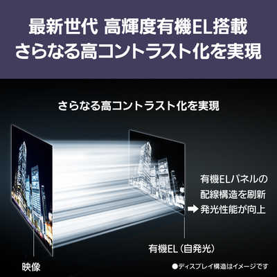 パナソニック Panasonic 有機ELテレビ VIERA ビエラ Z90B 65V型 4K対応