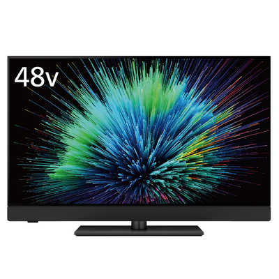 Panasonic - パナソニック ビエラ テレビ本体 19型 AQUOS REGZA パナソニック ビエラ テレビ本体 19型 AQUOS REGZA