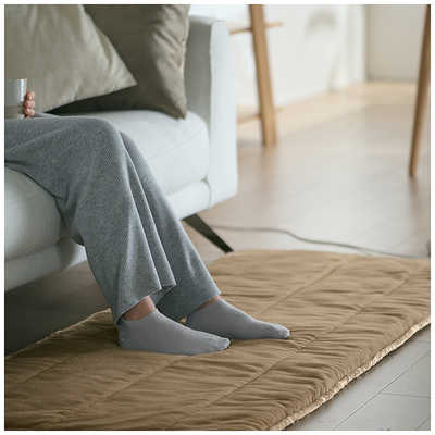 パナソニック Panasonic ホットマット ［本体のみ / 1畳未満］ DC-SN20