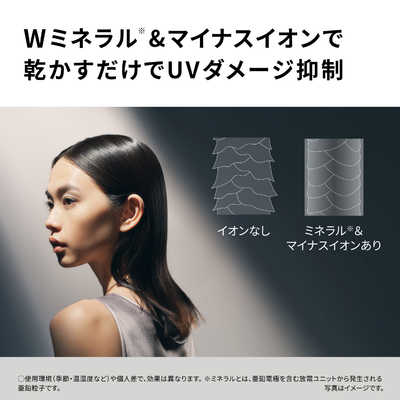 パナソニック Panasonic ヘアードライヤー ionity(イオニティ) モダン