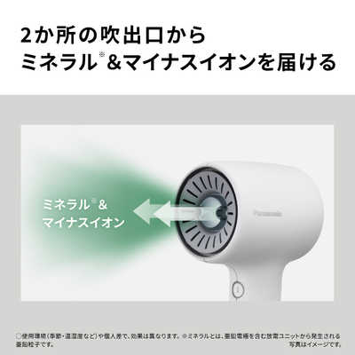 パナソニック Panasonic ヘアードライヤー ionity(イオニティ) モダン