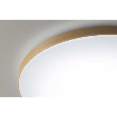 パナソニック HH-CM0836A LEDシーリングライト ミストクリア 昼光色