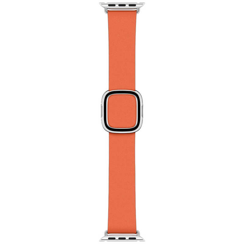 アップル アップル Apple Watch 40mmケース用サンセットモダンバックル - M MV6R2FEA MV6R2FEA