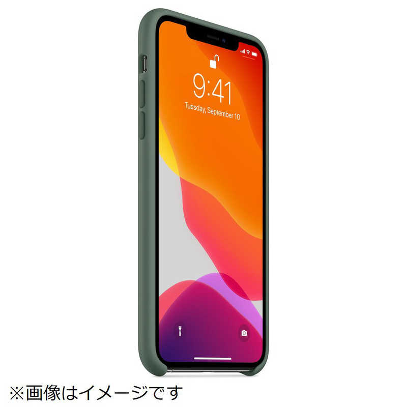 アップル アップル 【純正】iPhone 11 Pro Max シリコーンケース パイングリーン MX012FEA MX012FEA