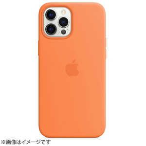 アップル 【純正】MagSafe対応iPhone 12 Pro Maxシリコーンケース - クムカット MHL83FE/A MHL83FE/A