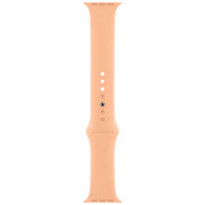 アップル 40mmケース用カンタロープスポーツバンド - レギュラー MJK33FEA