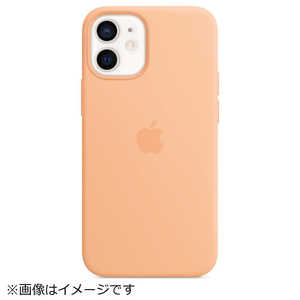 アップル MagSafe対応 iPhone 12 mini シリコーンケース カンタロープ MJYW3FEA