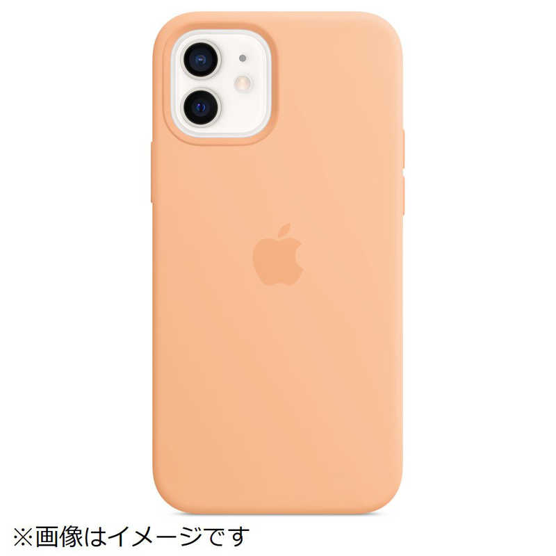 アップル アップル MagSafe対応 iPhone 12/12 Pro シリコーンケース カンタロープ MK023FEA MK023FEA