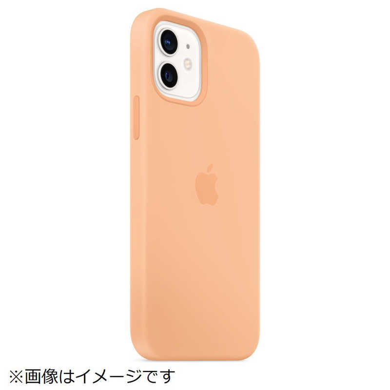 アップル アップル MagSafe対応 iPhone 12/12 Pro シリコーンケース カンタロープ MK023FEA MK023FEA