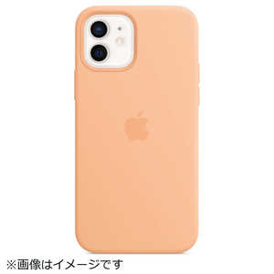 アップル MagSafe対応 iPhone 12/12 Pro シリコーンケース カンタロープ MK023FEA