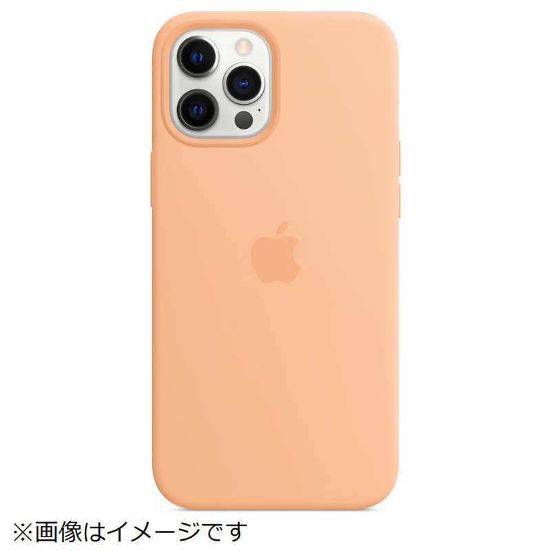 アップル アップル MagSafe対応 iPhone 12 Pro Max シリコーンケース カンタロープ MK073FEA MK073FEA