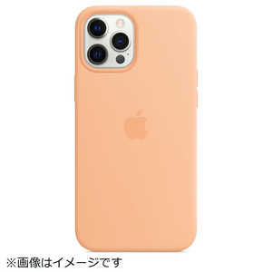 アップル MagSafe対応 iPhone 12 Pro Max シリコーンケース カンタロープ MK073FEA