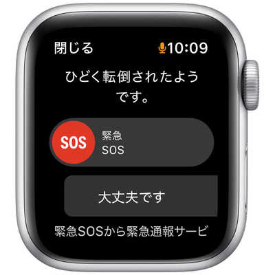 アップル Apple Watch Nike SE（GPSモデル） 40mmシルバーアルミニウム