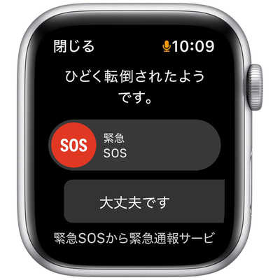 日本直営 Apple 44mm (第一世代・GPSモデル) SE Watch その他