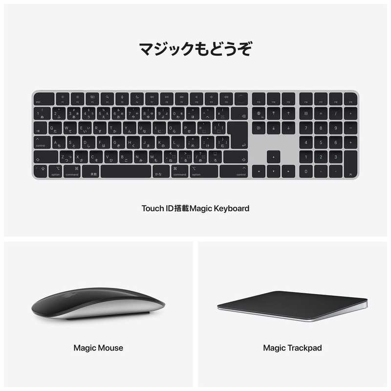 アップル アップル Mac Studio 10コアCPU 24コアGPU搭載 Apple M1 Max ディスプレイなし メモリ：32GB ストレージ：512GB MJMV3J/A MJMV3J/A