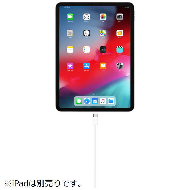 アップル アップル USB-C ⇔ USB-Cケーブル [充電 /転送 /1.0m] 【純正】USB-C充電ケーブル(1m) MM093FEA MM093FEA