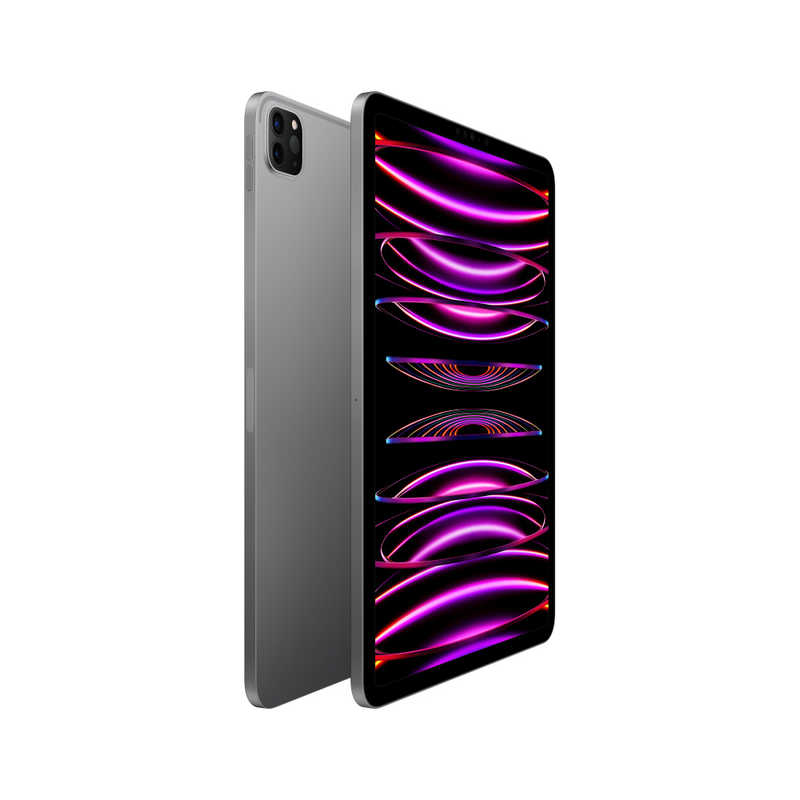 アップル アップル iPad Pro 11インチ(第4世代) Apple M2 11型 WiFiモデル ストレージ：128GB スペースグレイ MNXD3JA MNXD3JA