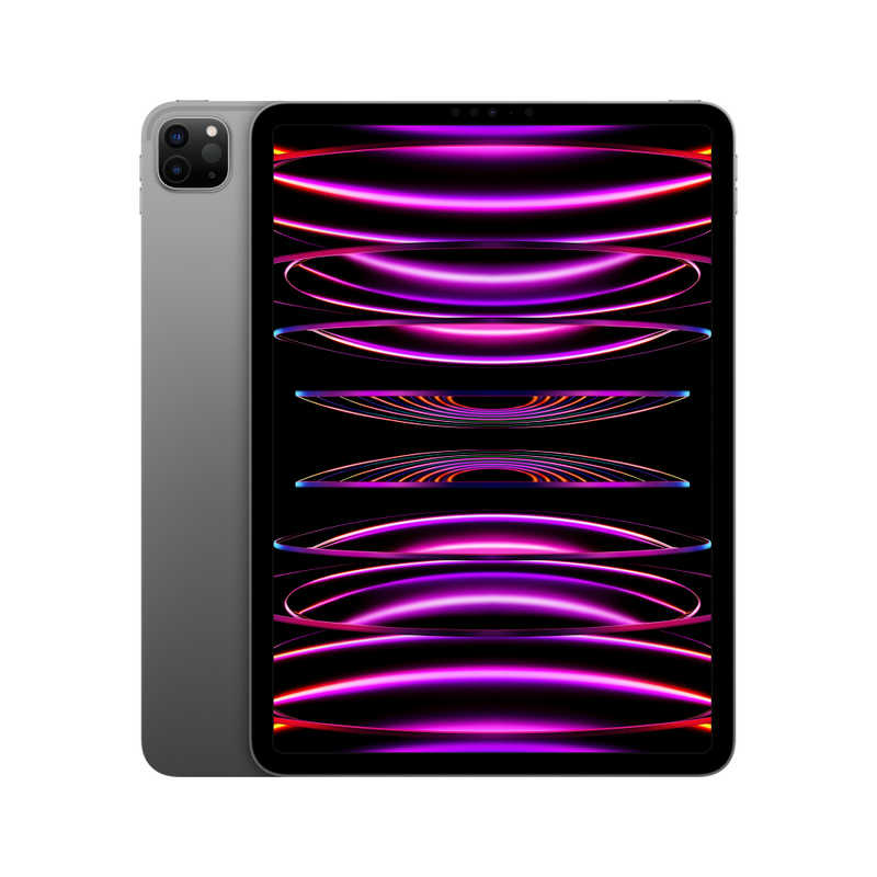 アップル アップル iPad Pro 11インチ 第4世代 Apple M2 WiFi 256GB スペースグレイ MNXF3JA MNXF3JA