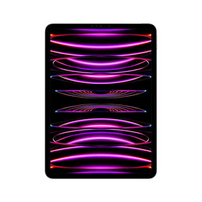 アップル iPad Pro 11インチ 第4世代 Apple M2 WiFi 256GB スペース 