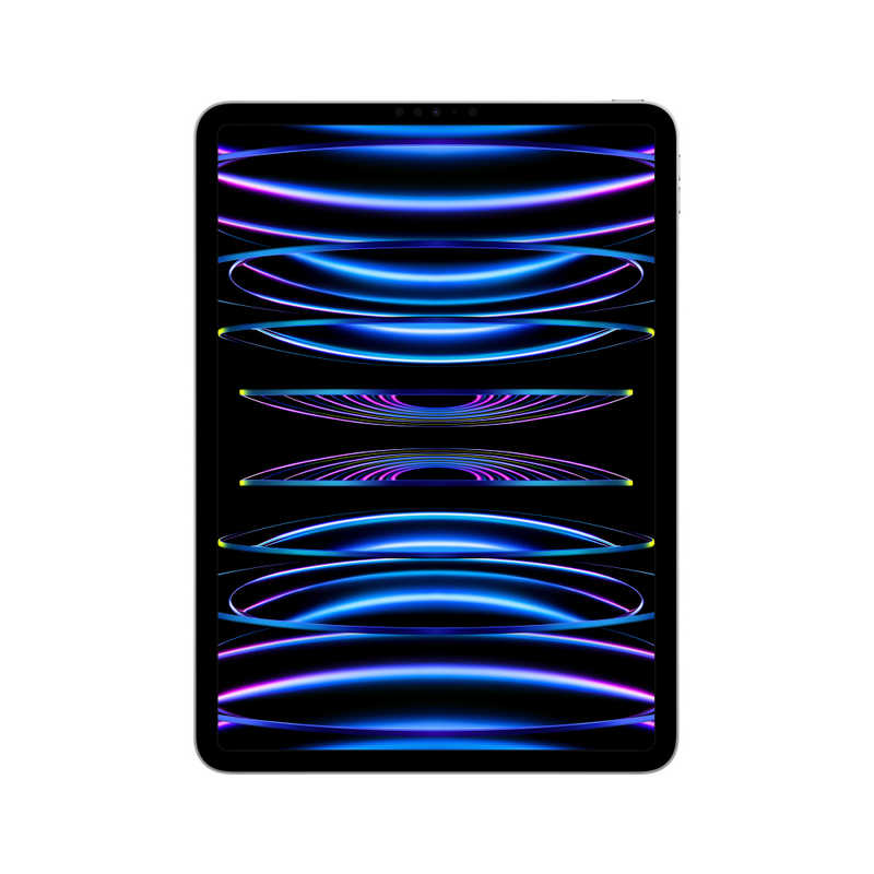 アップル アップル iPad Pro 11インチ(第4世代) Apple M2 11型 WiFiモデル ストレージ：1TB シルバー MNXL3JA MNXL3JA