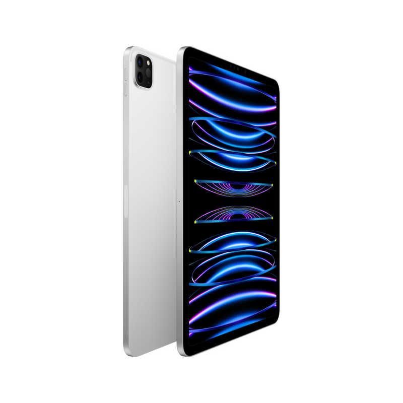 アップル アップル iPad Pro 11インチ(第4世代) Apple M2 11型 WiFiモデル ストレージ：1TB シルバー MNXL3JA MNXL3JA