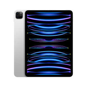 アップル iPad Pro 11インチ(第4世代) Apple M2 11型 WiFiモデル ストレージ：2TB シルバー MNXN3JA