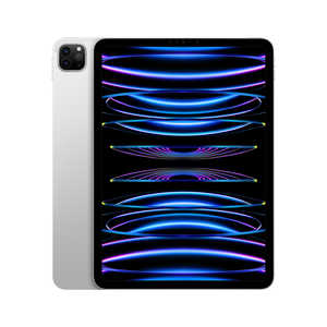 アップル iPad Pro 11インチ 第4世代 Apple M2 WiFi 2TB シルバー MNXN3JA