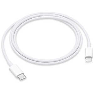 アップル USB-C - Lightningケーブル(1 m) MUQ93FE/A