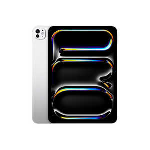 アップル 11インチ iPad Pro（M4）Apple M4 9コアCPU 10コアGPU 11型 Wi-Fiモデル ストレージ：256GB 標準ガラス搭載 シルバー MVV93J/A