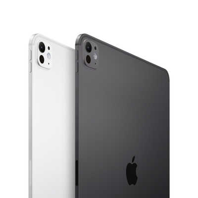 アップル 13インチ iPad Pro Apple M4 10コアCPU 10コアGPU 13型 Wi-Fi