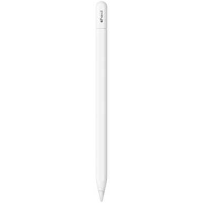 アップル Apple Pencil USB-C (USB-Cポートを備えたすべてのiPadモデル