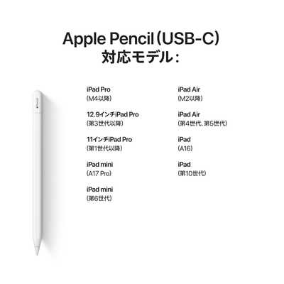 アップル Apple Pencil USB-C (USB-Cポートを備えたすべてのiPadモデル