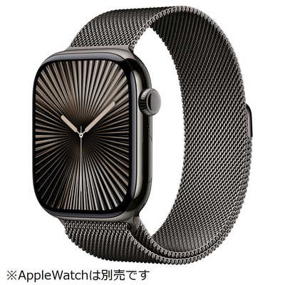 アップル 46mmケース用スレートミラネーゼループ - M/L MXMT3FEA