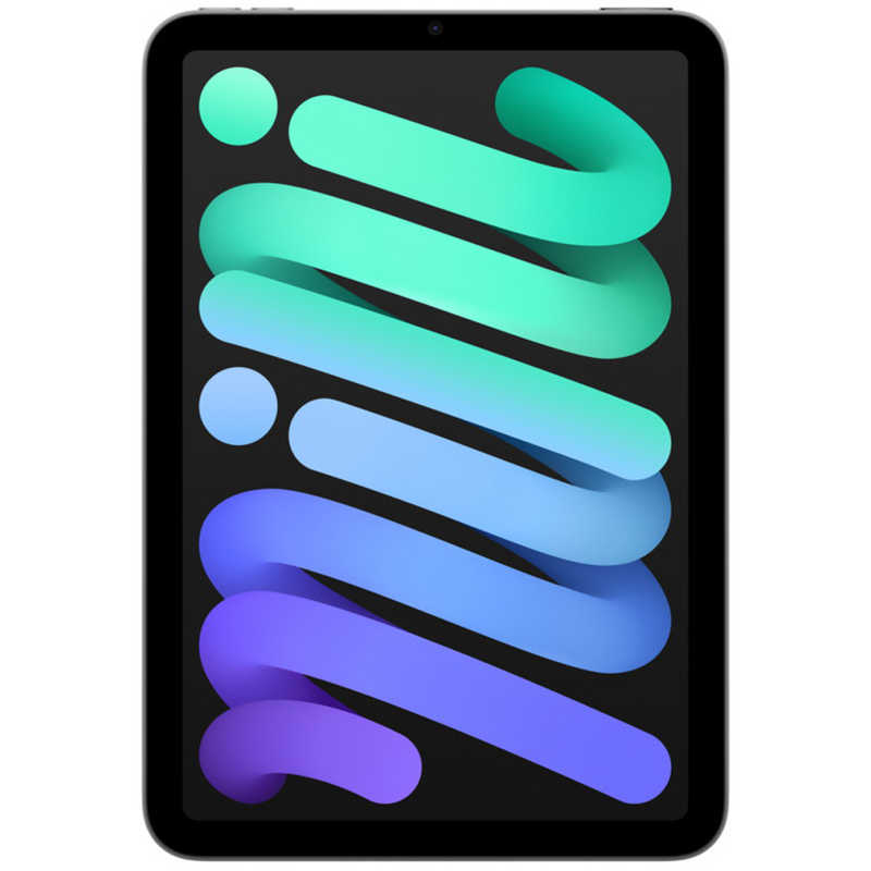 アップル アップル iPad mini (A17 Pro) 8.3型 Wi-Fiモデル ストレージ：256GB スペースグレイ MXNA3JA MXNA3JA
