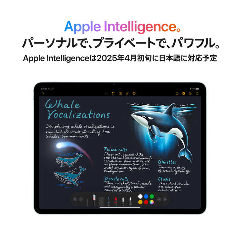 アップル アップル iPad Air 11(M3) Apple M3 11型 ストレージ：256GB パープル MCA64J/A MCA64J/A
