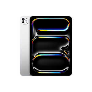 Abv iPad Pro M5`bv 11C`(WKX) Wi-Fif Xg[WF2TB Vo[ MDWV4J/A