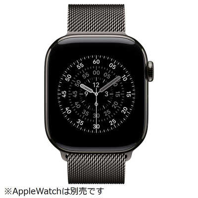 アップル 42mmケース用スレートミラネーゼループ MGJ14FE/A の通販 