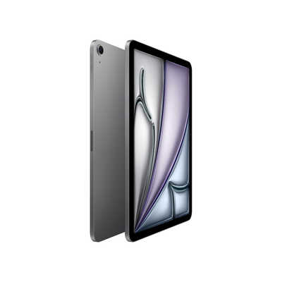 特価イラスト Apple iPad Pro M4 11インチ スペースグレー 保証あり