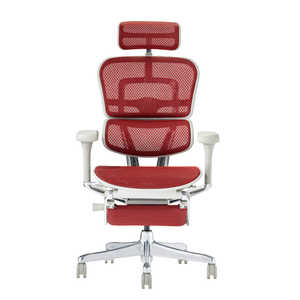 関家具 エルゴヒューマン Ergohuman 新基盤モデル エルゴヒューマン2 プロオットマン グレーフレーム EHP2-LPL-DR-GF-RD レッド 445403 関家具 エルゴヒューマン Ergohuman 新基盤モデル エルゴヒューマン2 プロオットマン グレーフレーム EHP2-LPL-DR-GF-RD レッド 445403