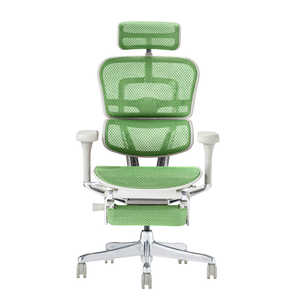 関家具 エルゴヒューマン Ergohuman 新基盤モデル エルゴヒューマン2 プロオットマン グレーフレーム EHP2-LPL-DR-GF-GN グリーン 445405 関家具 エルゴヒューマン Ergohuman 新基盤モデル エルゴヒューマン2 プロオットマン グレーフレーム EHP2-LPL-DR-GF-GN グリーン 445405