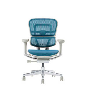 関家具 エルゴヒューマン Ergohuman 新基盤モデル エルゴヒューマン2 プロロータイプ グレーフレーム EHP2-LAM-DR-GF-BL ブルー 445424 関家具 エルゴヒューマン Ergohuman 新基盤モデル エルゴヒューマン2 プロロータイプ グレーフレーム EHP2-LAM-DR-GF-BL ブルー 445424
