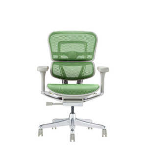 関家具 エルゴヒューマン Ergohuman 新基盤モデル エルゴヒューマン2 プロロータイプ グレーフレーム EHP2-LAM-DR-GF-GN グリーン 445425 関家具 エルゴヒューマン Ergohuman 新基盤モデル エルゴヒューマン2 プロロータイプ グレーフレーム EHP2-LAM-DR-GF-GN グリーン 445425