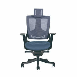 ���E �n�C�o�b�N 475488 [�u���[]